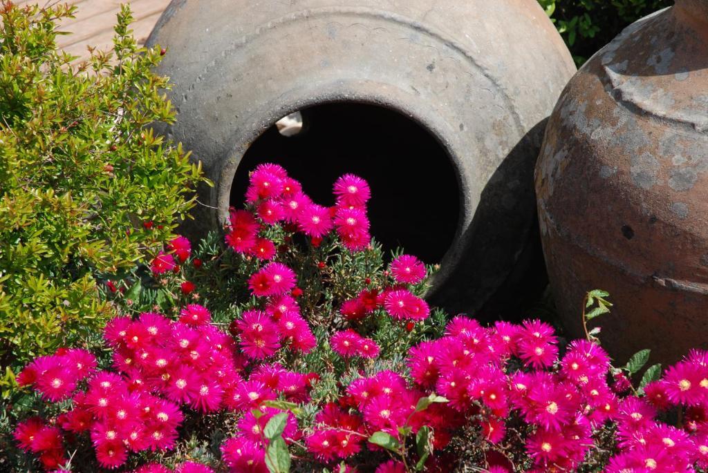 فندق A Flor Da Rosa كراتو المظهر الخارجي الصورة